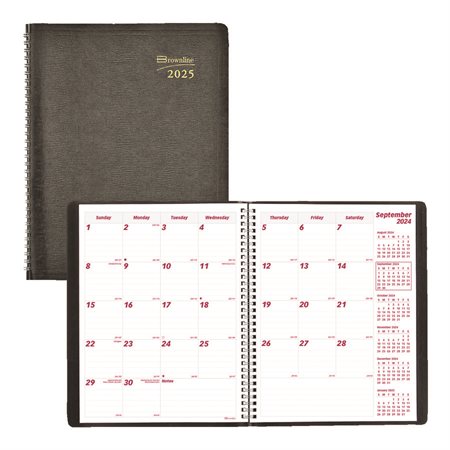 Monthly Diary (2025) Soft cover. 16 months: Sept 2024 to Dec 2025 11 x 8-1 / 2 in.