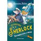 Des ombres dans la brume, Les aventures de Sherlock