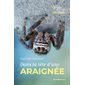 Dans la tête d'une araignée